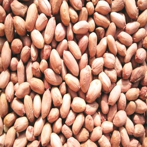 Moongfali Ke Daane